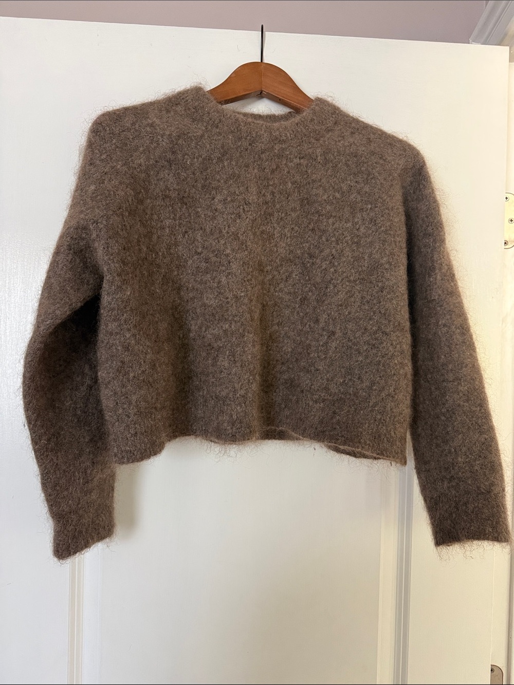 Zara Fuzzy Cropped Crewneck Sweater in Brown
